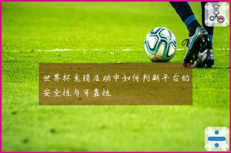 世界杯竞猜活动中如何判断平台的安全性与可靠性