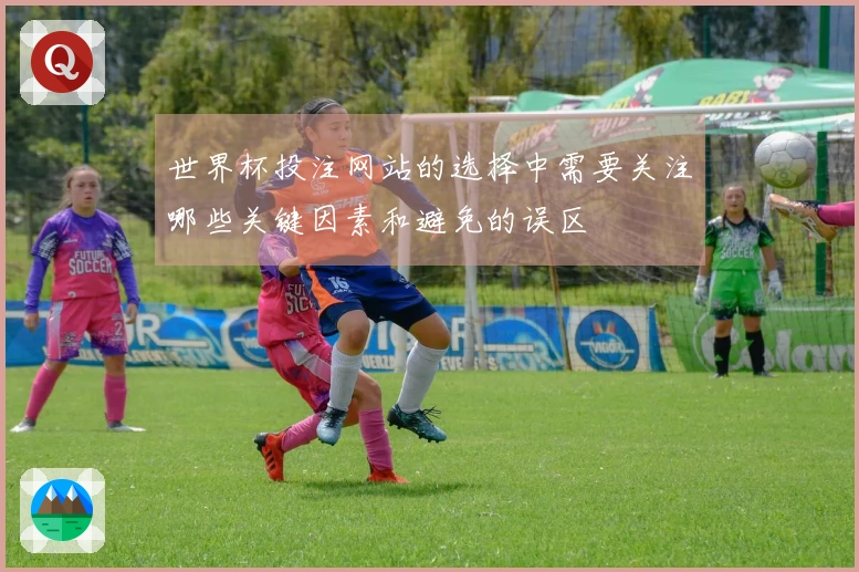 世界杯投注网站的选择中需要关注哪些关键因素和避免的误区