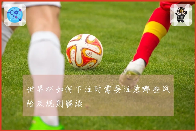 世界杯如何下注时需要注意哪些风险及规则解读