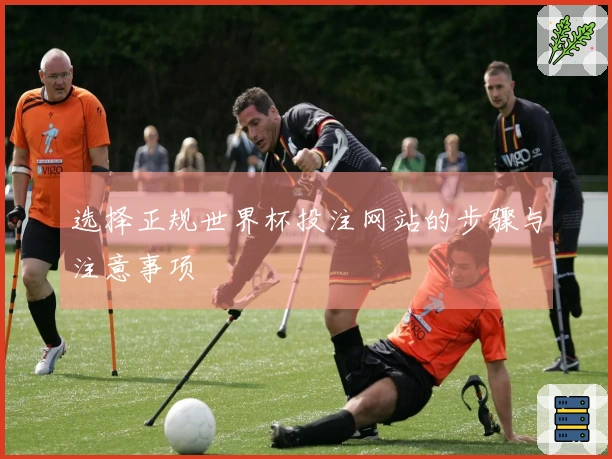 选择正规世界杯投注网站的步骤与注意事项