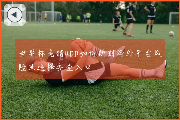 世界杯竞猜app如何辨别海外平台风险及选择安全入口