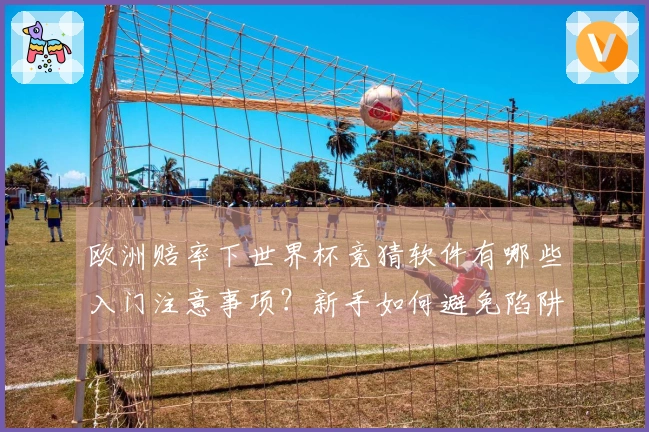 欧洲赔率下世界杯竞猜软件有哪些入门注意事项？新手如何避免陷阱