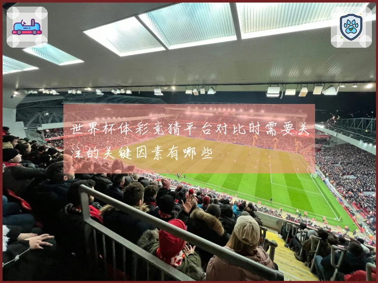 世界杯体彩竞猜平台对比时需要关注的关键因素有哪些