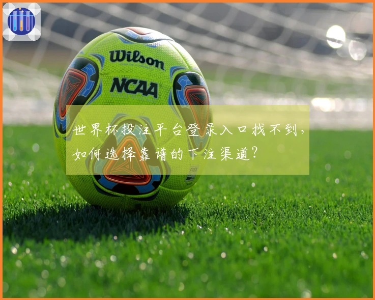 世界杯投注平台登录入口找不到,如何选择靠谱的下注渠道?