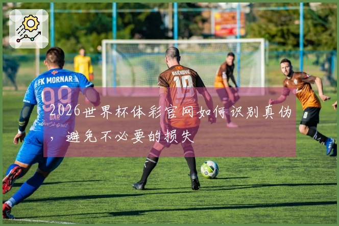 2026世界杯体彩官网如何识别真伪，避免不必要的损失