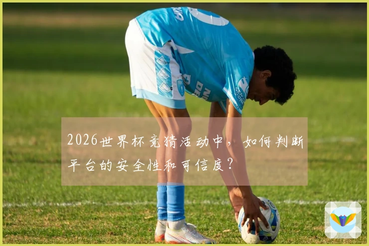 2026世界杯竞猜活动中，如何判断平台的安全性和可信度？