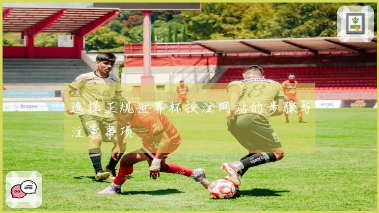选择正规世界杯投注网站的步骤与注意事项