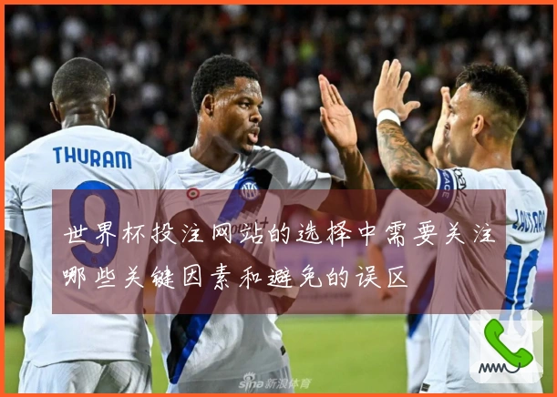 世界杯投注网站的选择中需要关注哪些关键因素和避免的误区