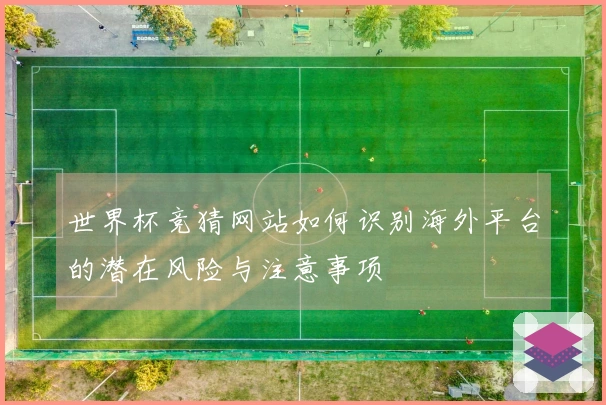 世界杯竞猜网站如何识别海外平台的潜在风险与注意事项