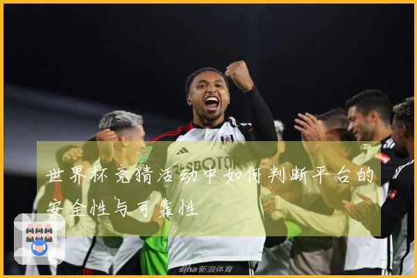 世界杯竞猜活动中如何判断平台的安全性与可靠性