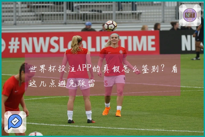 世界杯投注APP的真假怎么鉴别？看这几点避免踩雷