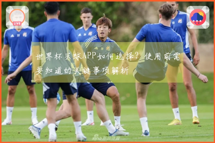 世界杯买球APP如何选择？使用前需要知道的关键事项解析